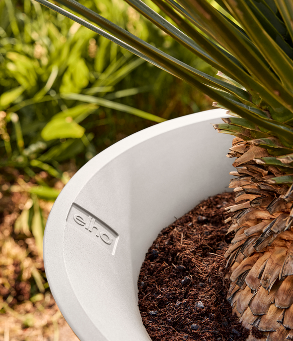 june tulip 40cm blanco lino